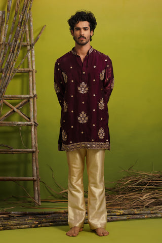 TAJ PURPLE SHORT KURTA SET