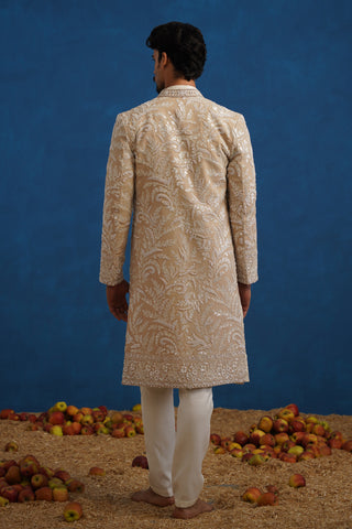 TEJAS CUTDANA CHIKU SHERWANI SET