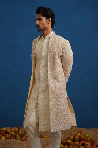 TEJAS CUTDANA CHIKU SHERWANI SET
