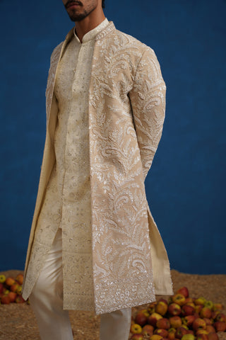 TEJAS CUTDANA CHIKU SHERWANI SET