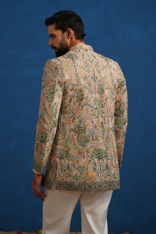 PARIND CHIKU JODHPURI SET