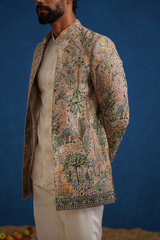 PARIND CHIKU JODHPURI SET