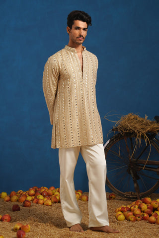 AAINA GOLDEN SHORT KURTA SET