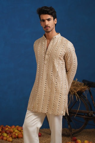 AAINA GOLDEN SHORT KURTA SET