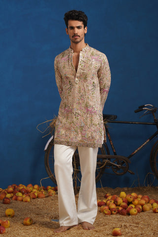 HEERAN CHIKU SHORT KURTA SET