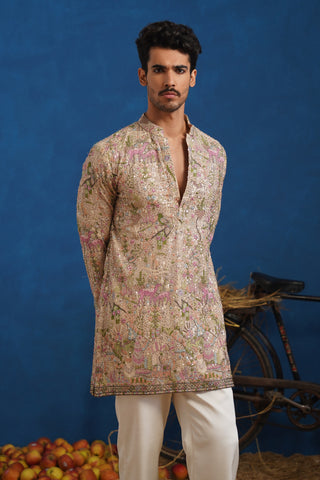 HEERAN CHIKU SHORT KURTA SET
