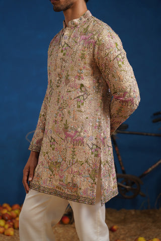 HEERAN CHIKU SHORT KURTA SET