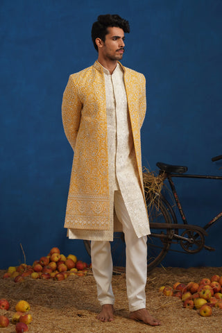 TEJASVI CUTDANA HALDI SHERWANI SET