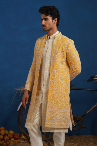 TEJASVI CUTDANA HALDI SHERWANI SET