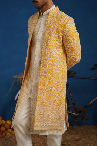 TEJASVI CUTDANA HALDI SHERWANI SET