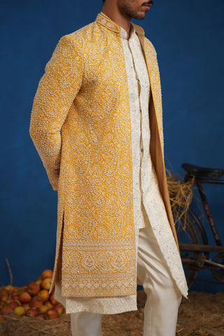 TEJASVI CUTDANA HALDI SHERWANI SET