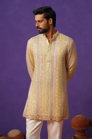 AAFREEN MULTI SHORT KURTA SET