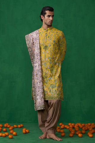 BIRD HALDI KURTA SET