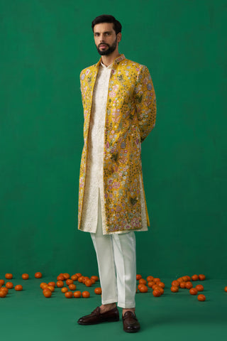 Phoolpankh Haldi Indowestern Set
