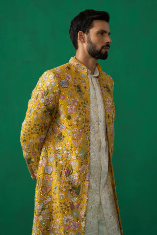 Phoolpankh Haldi Indowestern Set