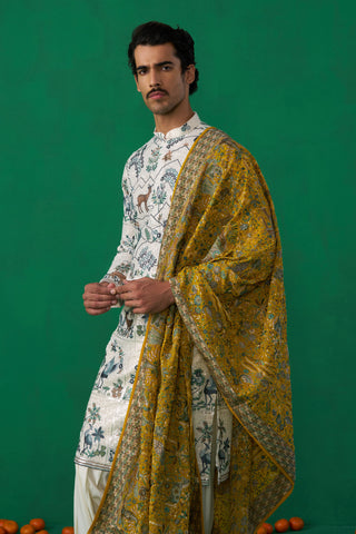SWAN IVORY KURTA SET