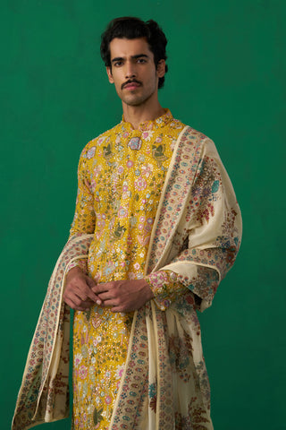 PHOOLPANKH HALDI KURTA SET