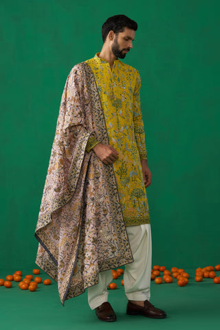 BIRD HALDI KURTA SET