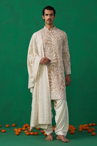 LEAF CHIKU KURTA SET