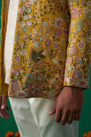PhOOLPANKH HALDI JODHPURI SET