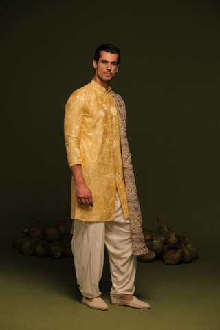 Abhinandan Haldi Front Open Kurta patiyala set with dupatta